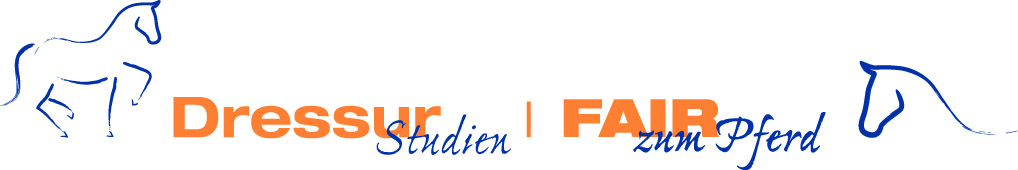 DS FZP Logo 1